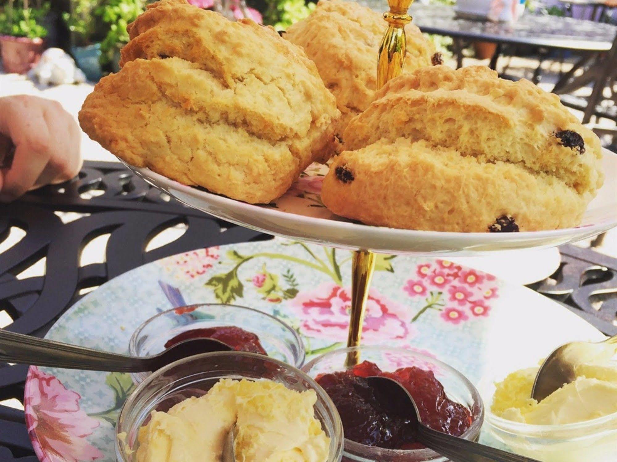トーキー Glendower Bed & Breakfast エクステリア 写真